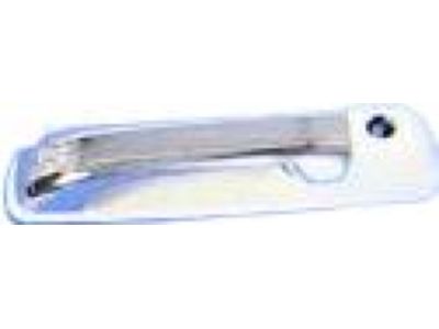 Mopar 1GH291W7AJ Exterior Door