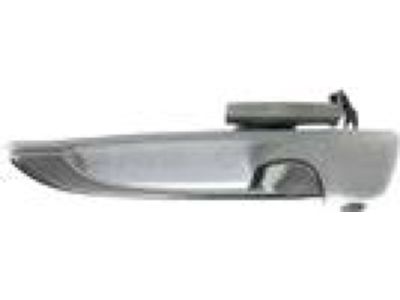 Mopar 1GH291W7AJ Exterior Door