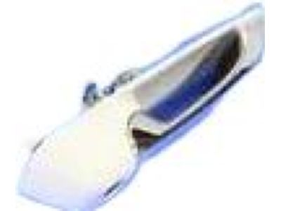 Mopar 1GH291W7AJ Exterior Door