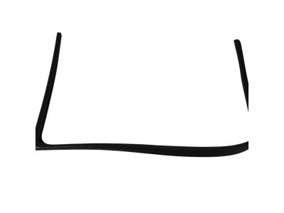 Mopar 5067769AB WEATHERSTRIP-Front Door Glass Run