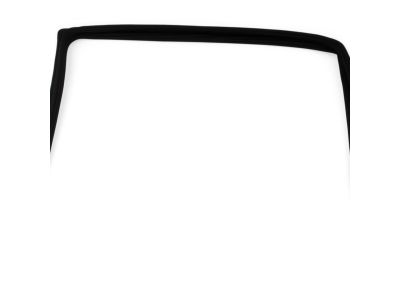 Mopar 5067769AB WEATHERSTRIP-Front Door Glass Run