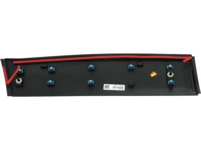 Mopar 6VX65TZZAB Molding-Rear Door