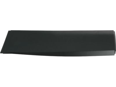 Mopar 6VX65TZZAB Molding-Rear Door