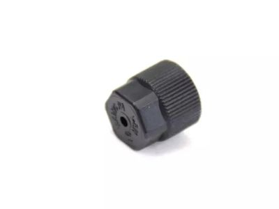 Mopar 68620804AA A/C CHARGE VALVE