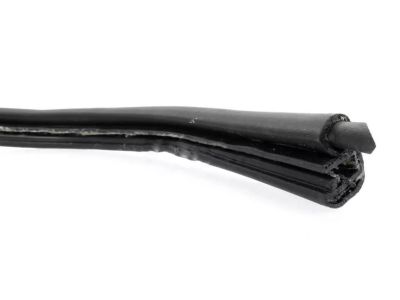 Mopar 4675364 WEATHERSTRIP-Rear Aperture Panel Rear Glass (S