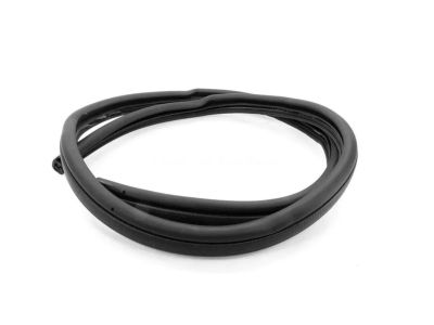 Mopar 4675364 WEATHERSTRIP-Rear Aperture Panel Rear Glass (S