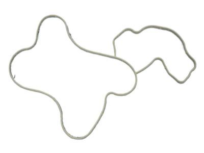 Mopar 68391488AA Gasket-Water Pump