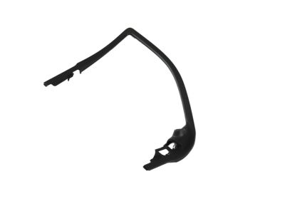 Mopar 6NS051A9AA Molding-Front Door