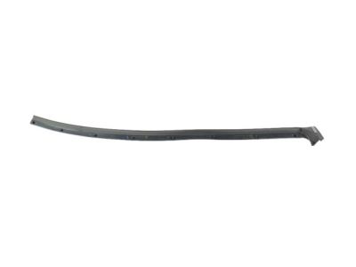 Mopar 68400038AA WEATHERSTRIP-Front Door Opening