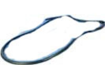 Mopar 55399214AG WEATHERSTRIP-Rear Door Opening