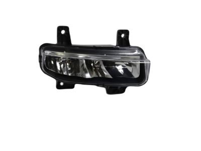 Mopar 68477196AA Lamp-Fog