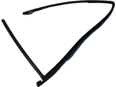 Mopar 4894125AH WEATHERSTRIP-Front Door Glass