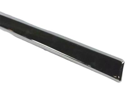 Mopar ZT54SZ0AA Molding-Sliding Door
