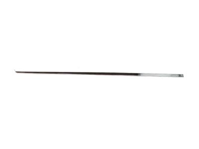 Mopar ZT54SZ0AA Molding-Sliding Door