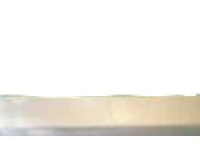 Mopar 1CH93WS2AB Molding-Rear Door