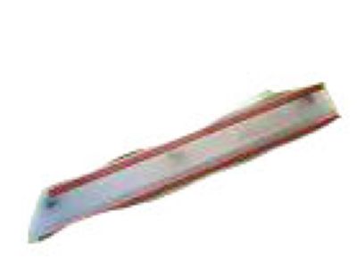 Mopar 1CH93WS2AB Molding-Rear Door