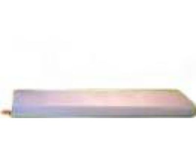 Mopar 1CH93WS2AB Molding-Rear Door
