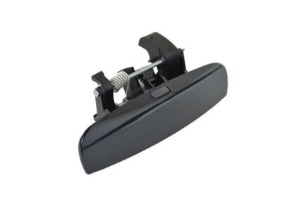 Mopar 1MZ84KARAM Handle-Front Door Exterior