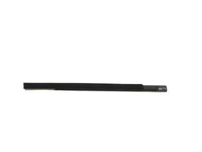 Mopar 68285879AE W/STRIP-Rear Door Belt Outer