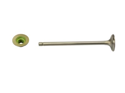 Mopar 68002237AA Valve-Exhaust