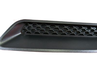 Mopar 68071011AA Bezel-Hood