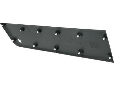 Mopar 1ZT33LAHAA Molding-Door Outside