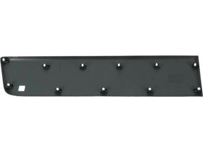 Mopar 1ZT33LAHAA Molding-Door Outside