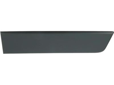 Mopar 1ZT33LAHAA Molding-Door Outside