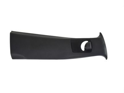 Mopar 1XW64DX9AH Molding-B Pillar