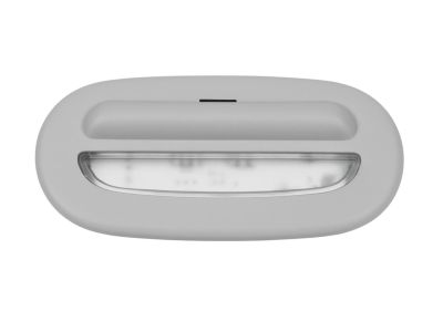Mopar 1ET06BD1AD Lamp-Door