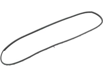 Mopar 68420119AA WEATHERST-Rear Door Mounted