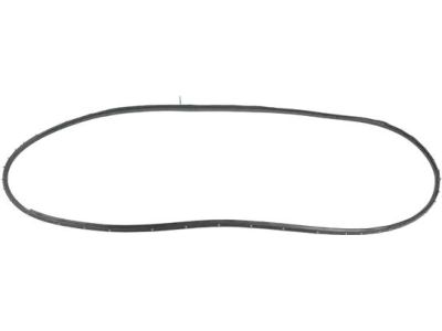 Mopar 68420119AA WEATHERST-Rear Door Mounted
