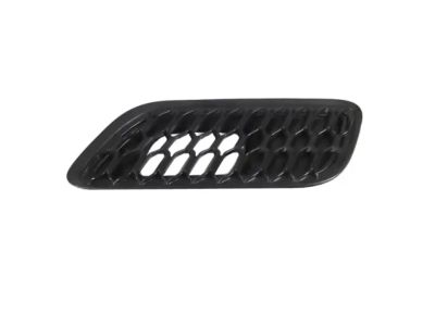 Mopar 68464718AB BEZEL-HOOD
