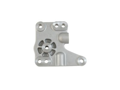 Mopar 68192620AA Bracket-Differential
