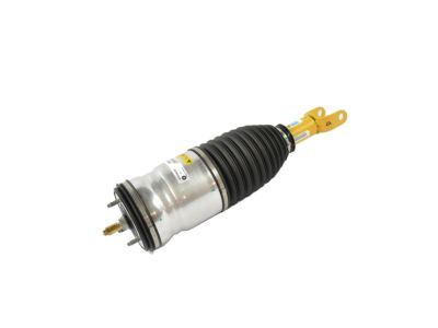 Mopar 68232283AF Spring-Air Suspension