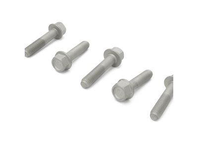 Mopar 68192702AA Bolt-HEXAGON FLANGE Head