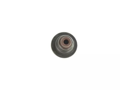 Mopar 68295813AA Seal-Valve Guide