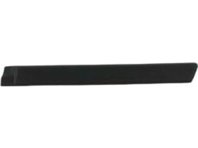 Mopar 5DY19DX9AE Molding-Rear Door