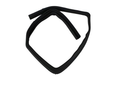 Mopar 55395729AF WEATHERSTRIP-Door Glass Run Channel