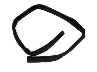 Mopar 55395729AF WEATHERSTRIP-Door Glass Run Channel