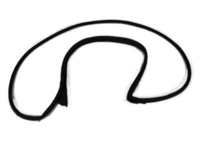 Mopar 5065991AE WEATHERSTRIP-Front Door Mounted