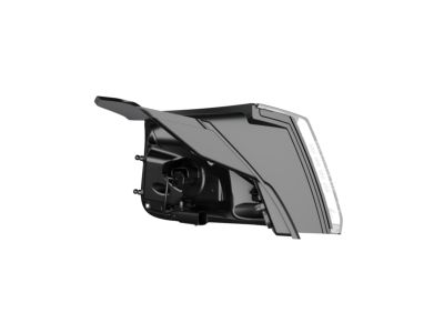 Mopar 68275958AF Lamp-Tail