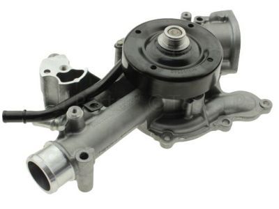 Mopar 68382494AA Pump-Water