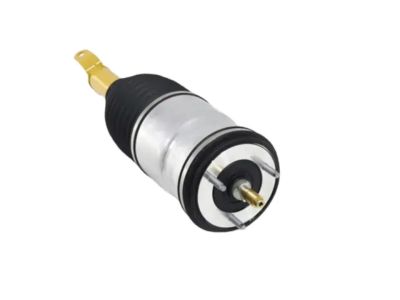 Mopar 68318302AG Air Suspension