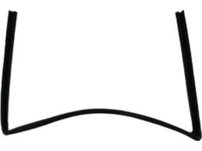Mopar 55399168AG WEATHERSTRIP-Front Door Glass Run