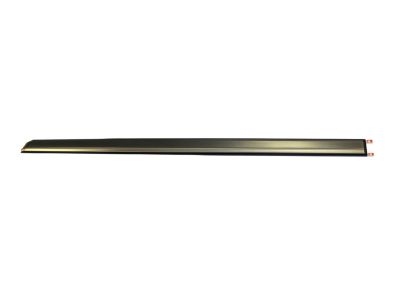 Mopar 1DX25TZZAC Molding-Rear Door