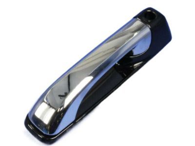 Mopar 1GH291XRAJ Exterior Door