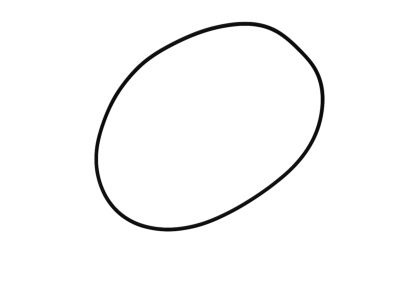 Mopar 68019846AA O Ring