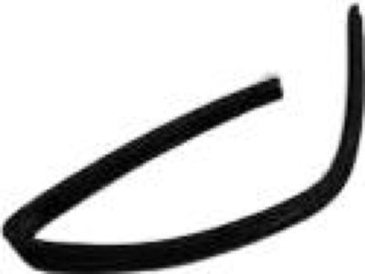 Mopar 55276164AD Seal-Rear Door