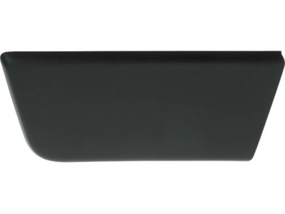 Mopar 1ZT55JXWAB Molding-Door Outside